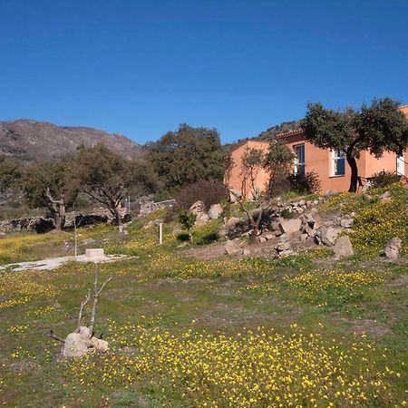 Finca El Rabilargo Arroyomolinos de Montánchez Exterior foto