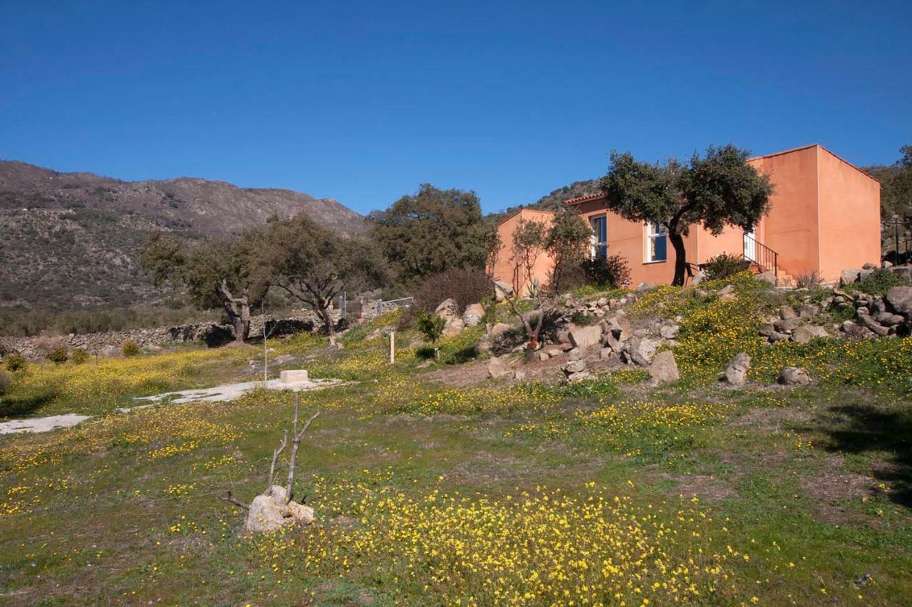 Finca El Rabilargo Arroyomolinos de Montánchez Exterior foto